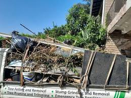 Best Construction Debris Removal  in Shell Rock, IA